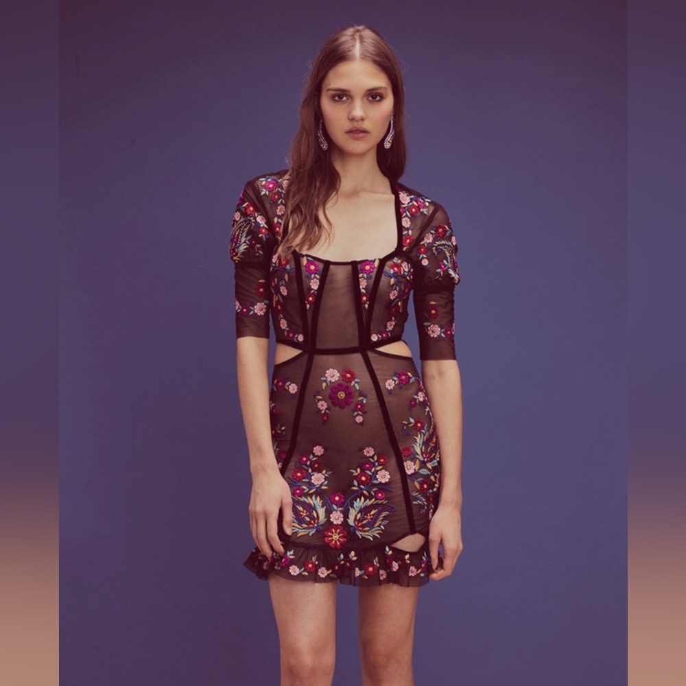 For Love and Lemons Esther Embroidery Mini Dress